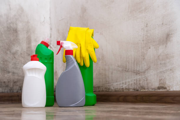 Why You Should Choose Our Mold Remediation Services in Tooele, UT